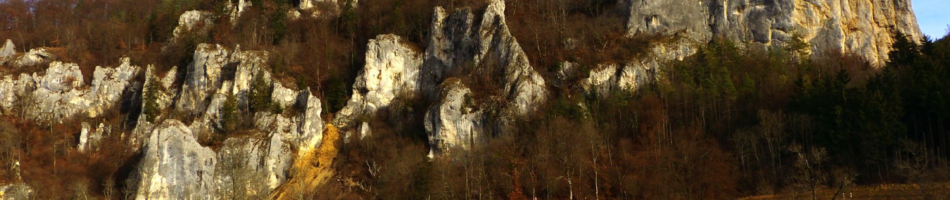 Excursión A pie Gomadingen - DonauFelsenLäufe: Donaufelsengarten - Photo