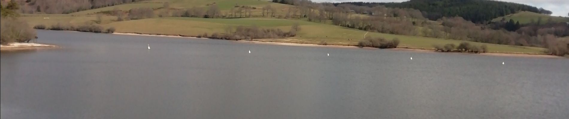 Tocht Stappen Peyrelevade - Fred lac du chamet - Photo