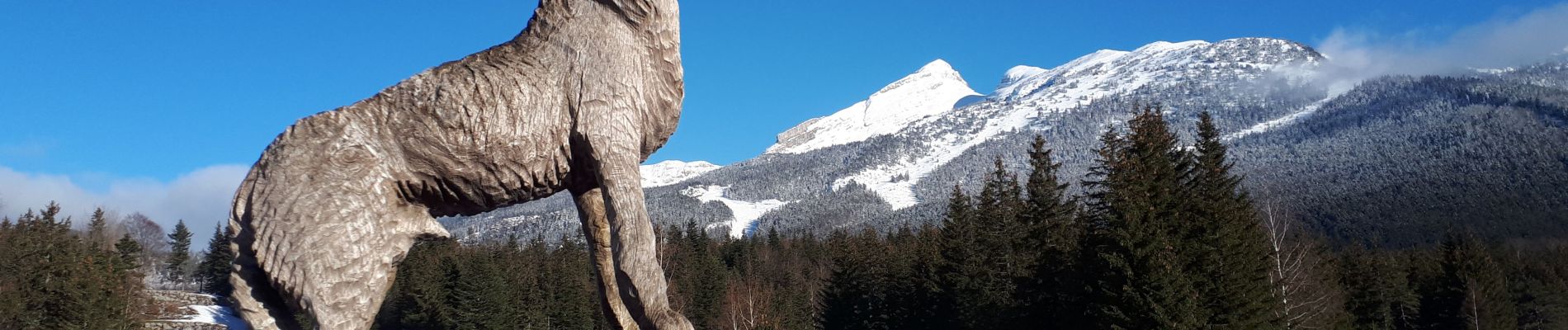 Randonnée Raquettes à neige Corrençon-en-Vercors - Cabane de la Goupette en circuit au départ de Corrençon-en-Vercors - Photo