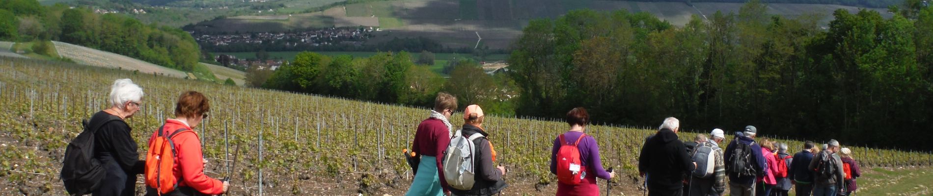 Percorso Marcia Blesmes - Randonnée Blesmoise du 12 Mai 2019 - Photo