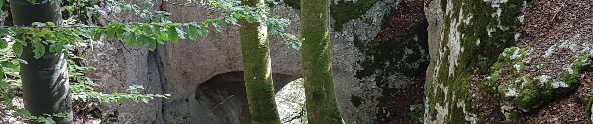 Trail Walking Saint-Hippolyte - St Hippolyte - Grotte du Château de la Roche - Grotte du Bisontin - Photo