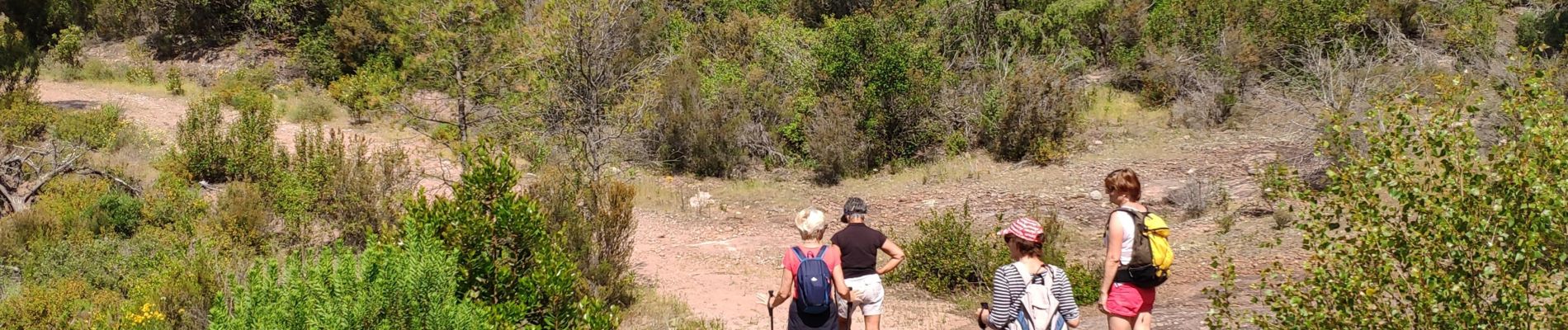 Trail Walking Roquebrune-sur-Argens - z forêt de Raphèle 04-06-19 - Photo