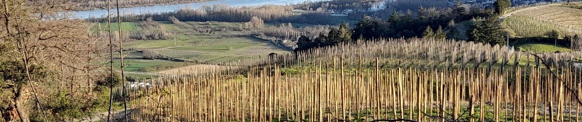 Tour Wandern Tournon-sur-Rhône - Le Pas du géant  - Photo