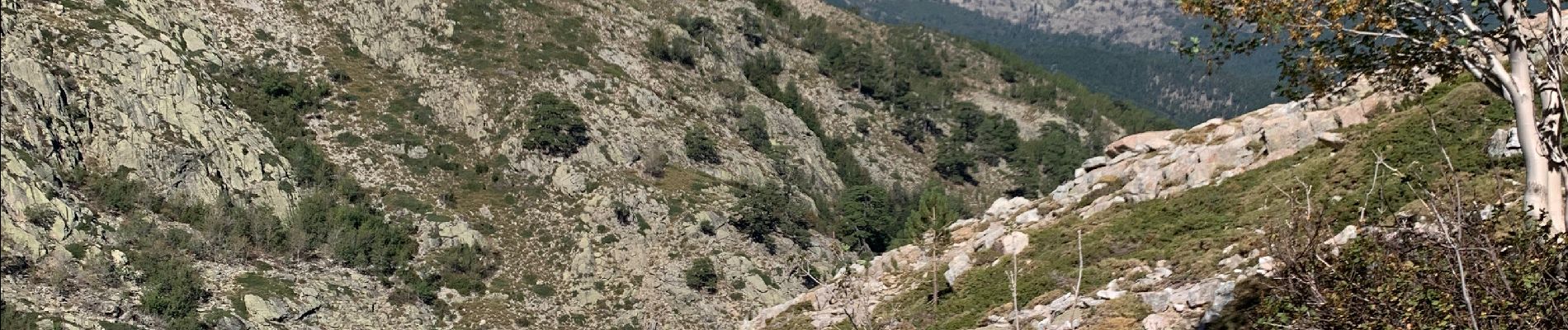 Tour Wandern Albertacce - Lac de Nino - départ maison forestière  - Photo