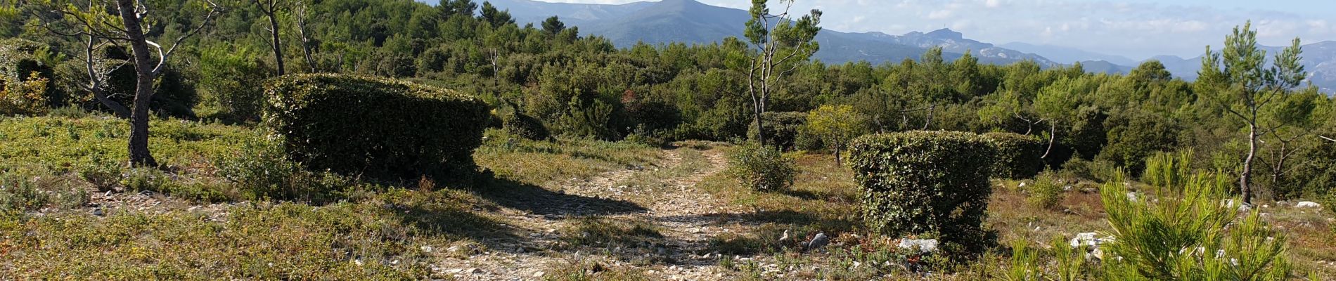 Tour Mountainbike Saint-Zacharie - Vallon de l'Espagnol St Zacharie - Photo