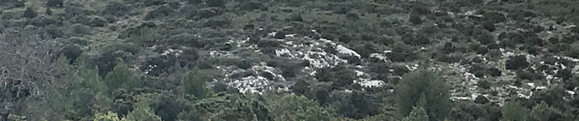 Randonnée Marche Eyguières - Eyguières, Verdellet et Vaussière - Photo