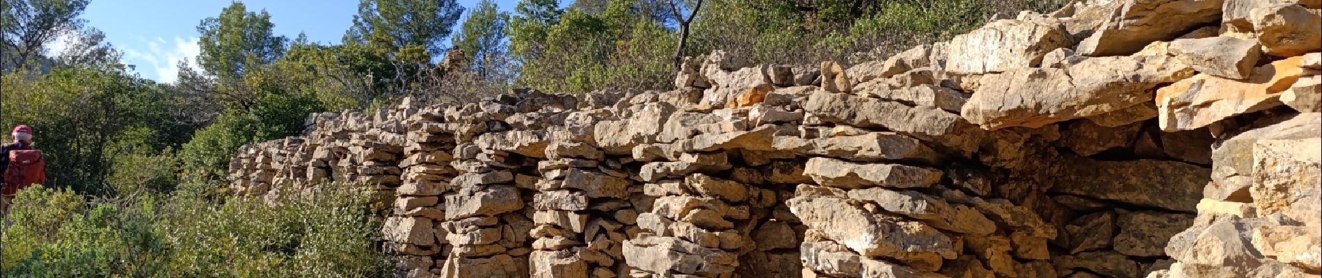 Excursión Senderismo Cuers - Les chapelles et l'Apié de Cuers - Photo