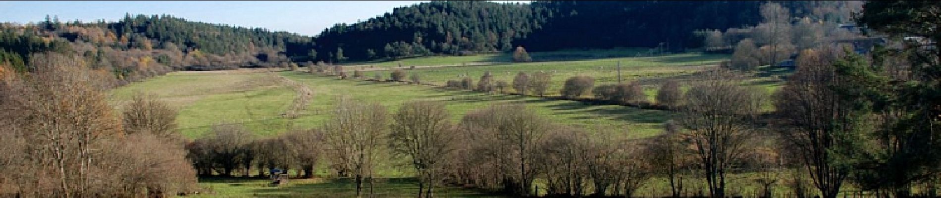 Tocht Stappen Charbonnières-les-Varennes - Beaunit_Narse_JG_02 - Photo