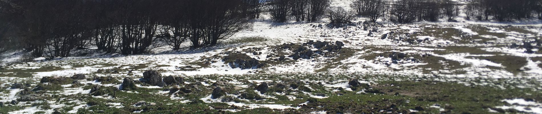 Randonnée Marche Le Chaffal - Col de la Bataille, Omblèze - Photo