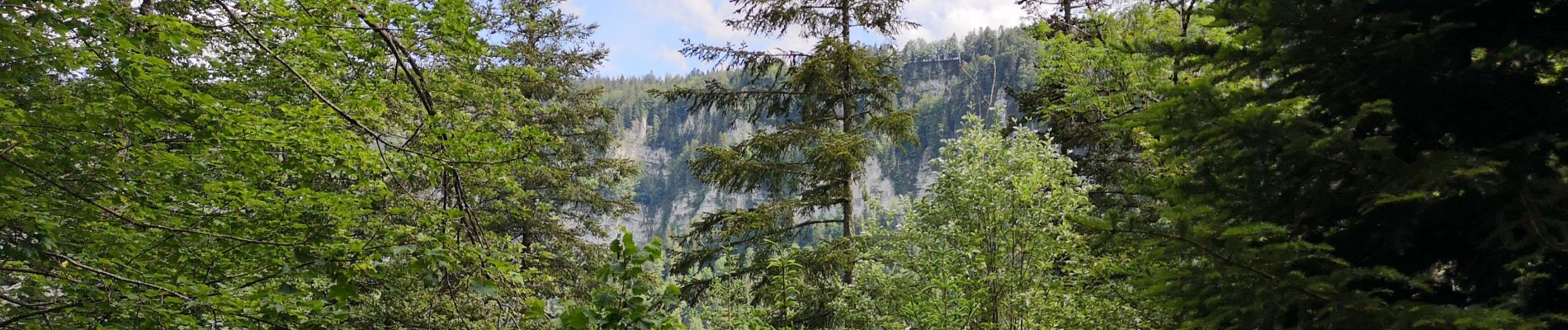 Tour Wandern Villers-le-Lac - Saut du Doubs  - Photo