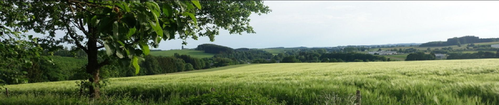 Randonnée Marche Neufchâteau - Massul - Lahérie - Photo