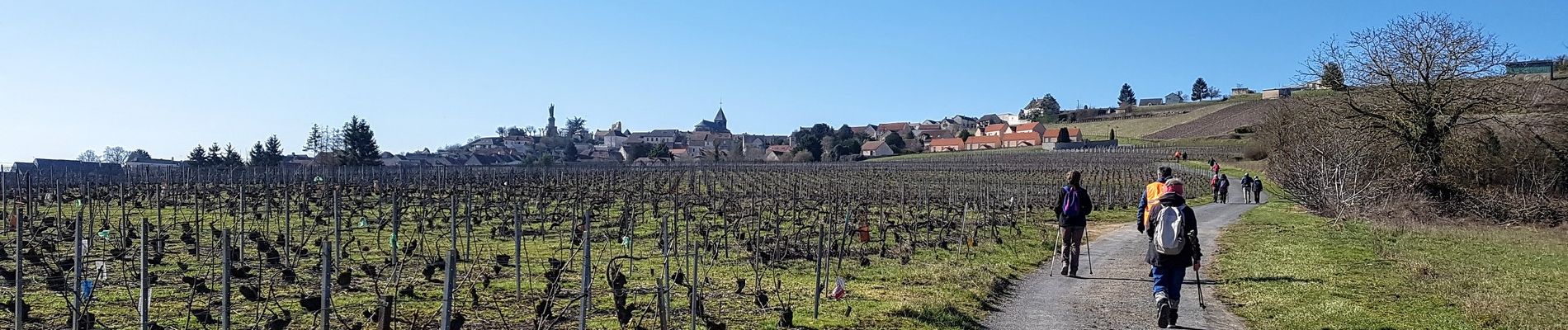 Excursión Senderismo Châtillon-sur-Marne - Châtillon-sur-Marne du 28-02-2021 - Photo