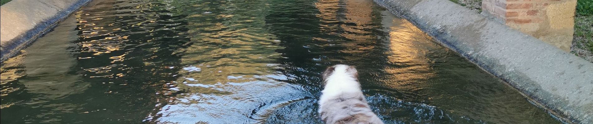 Randonnée Trail Tossiat - lavoir tossiat- rignat-lavoir tossiat  - Photo