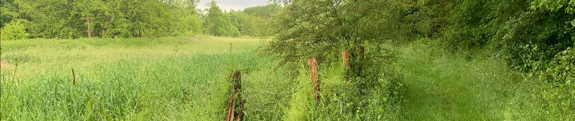 Tour Wandern Blandainville - VOIE DE TOURS -Harville - Illiers - Bonneval  - Photo