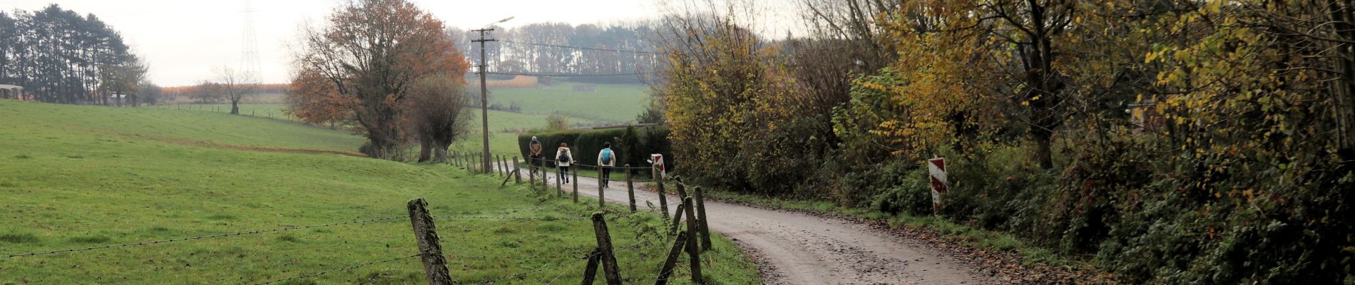 Excursión Senderismo Tubize - Oisquercq - Stéhou - Coeurq - Photo