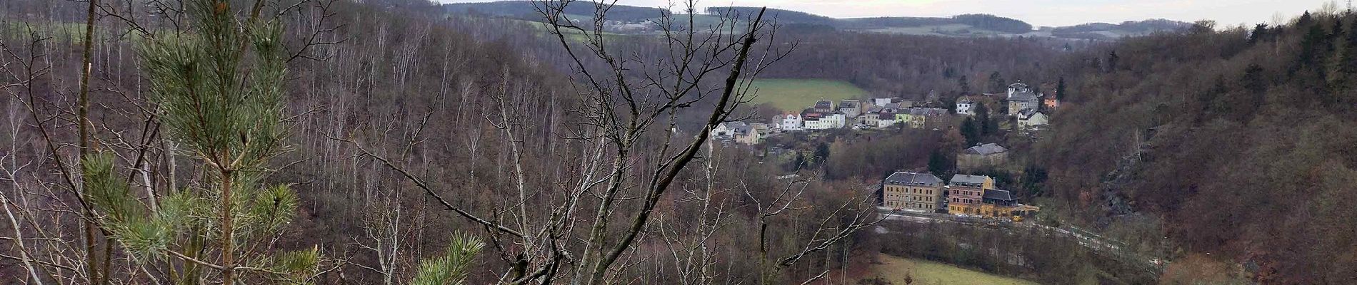 Tocht Te voet Reichenbach - Wanderweg Friesen-Köhlersteig-Stoppachtal-Bhf Netzschkau - Photo