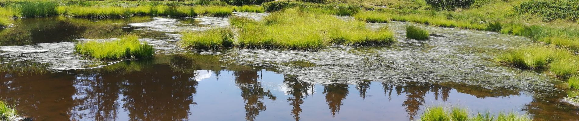 Tour Wandern Crêts-en-Belledonne - cret du poulet 2019 - Photo