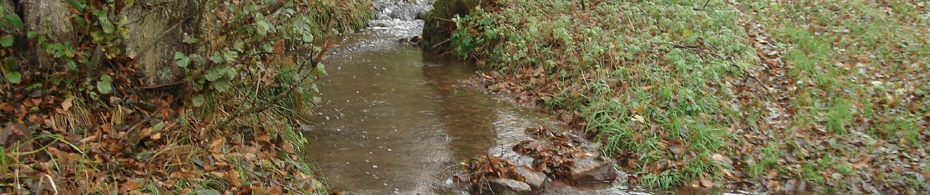 Tour Zu Fuß Amorbach - Rundwanderweg Boxbrunn 1 - Photo