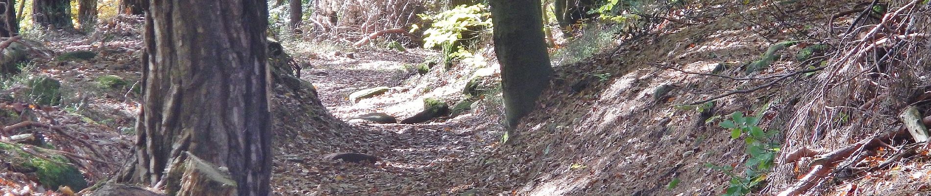 Tour Zu Fuß Unbekannt - Rundwanderweg 6 Totenkopf - Photo