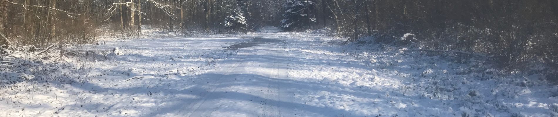 Tocht Stappen Chimay - Les percés de Bailievre  - Photo