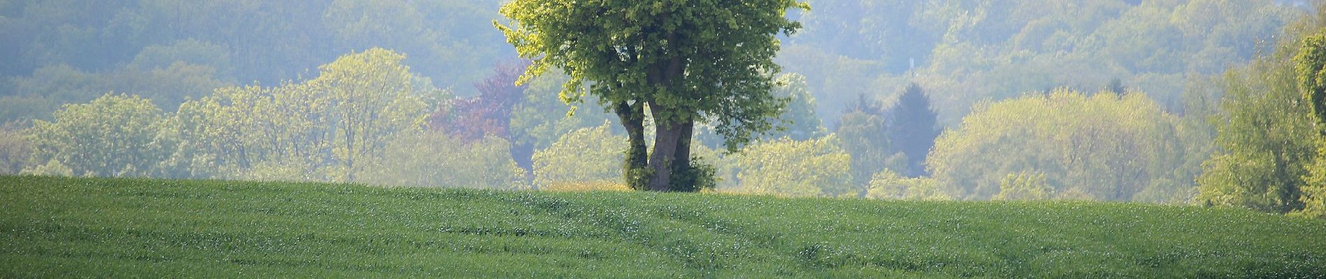 Tour Zu Fuß Kerken - Eyller See Rundweg A2 - Photo