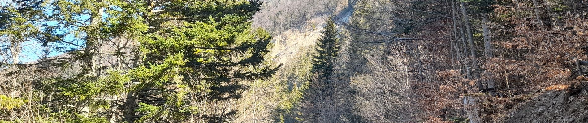 Excursión Senderismo Corbonod - GRAND COLOMBIER: SUR LYAND - CHARBEMENES - CHALET D'ARVIERES - Photo