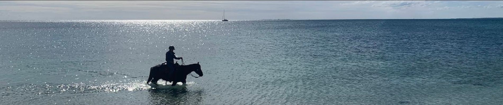 Tocht Paardrijden Sarzeau - Plage St Jacques bis - Photo