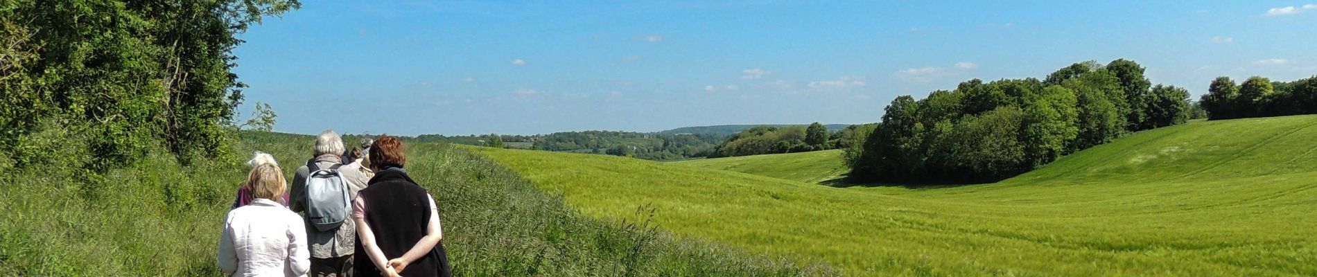 Tocht Stappen Bellême - Traversées Percheronnes Bellême - Gémages 15,4 Km - Photo