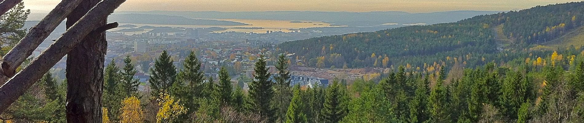 Tocht Te voet Onbekend - Årvollåsen natursti - Photo