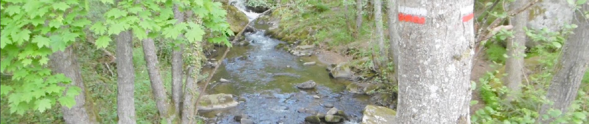 Tour Wandern Olloix - Tracé_25-MAI-19 113424 - Photo