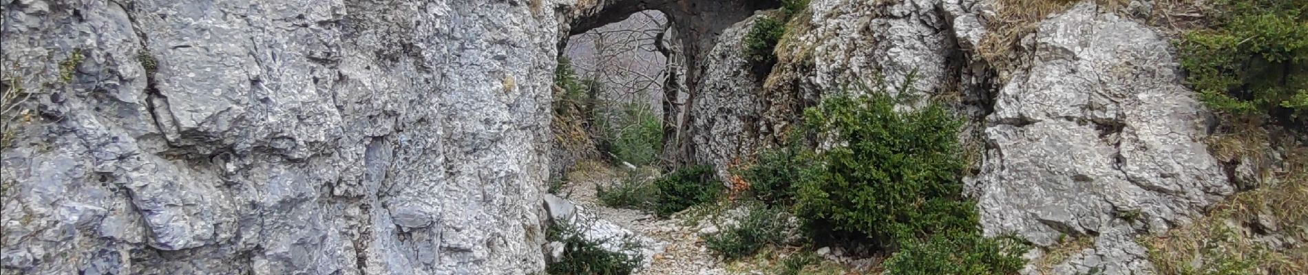 Percorso Marcia Omblèze - raccourci Gardiole / Belvédère retour du mur des Chartreux  - Photo