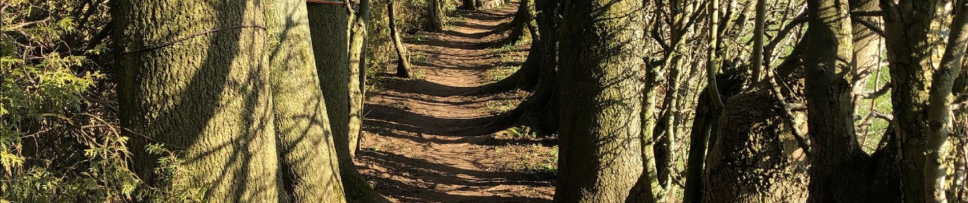 Randonnée A pied Theux - Boucle de Theux 10 Km - Photo