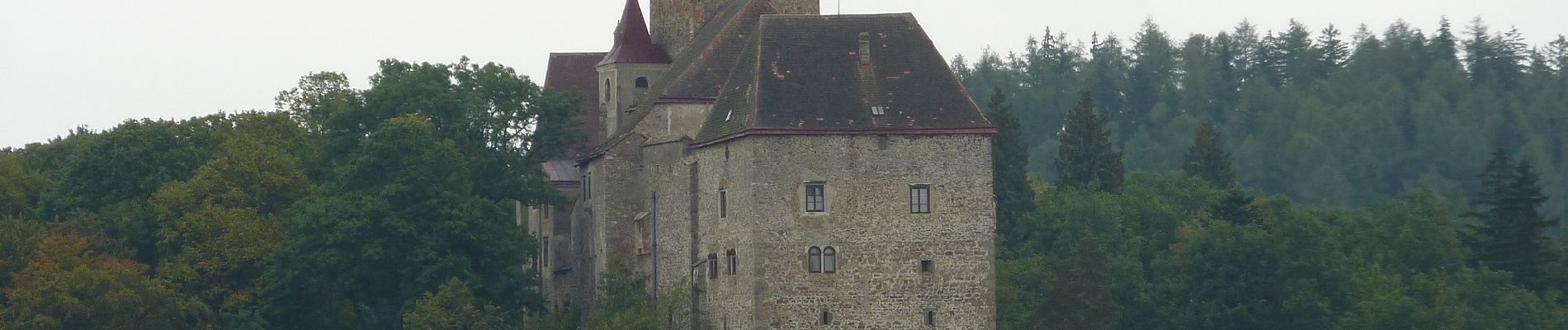 Percorso A piedi Gemeinde Waldhausen - Schafweidestreit 81 - Photo