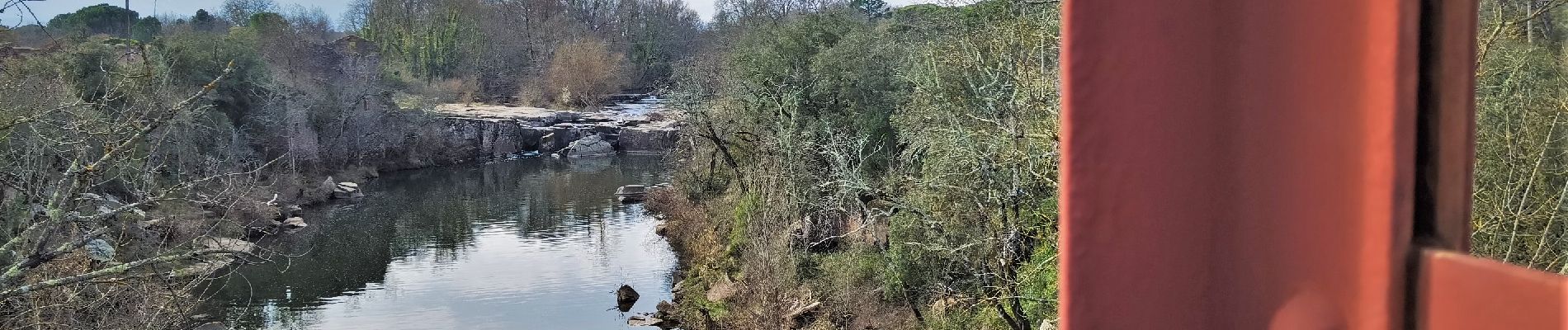 Randonnée Marche Vidauban - Vidauban cascade et pont de fer de l'Aille - Photo