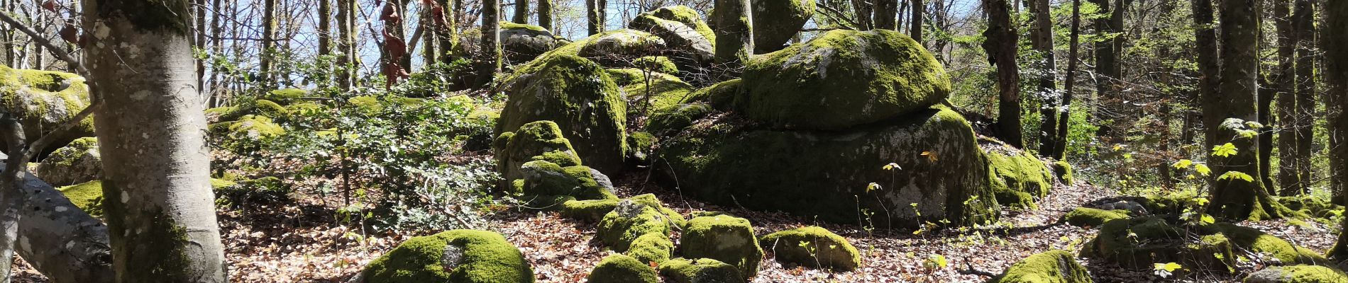 Tour Wandern Uchon - UchonVelleUchon - Photo