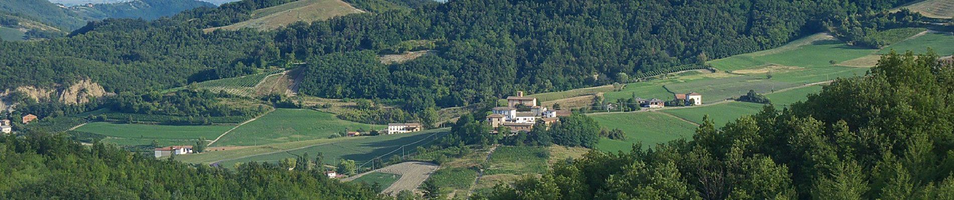 Randonnée A pied Val di Nizza - Anello di Cascina Serzego - Photo