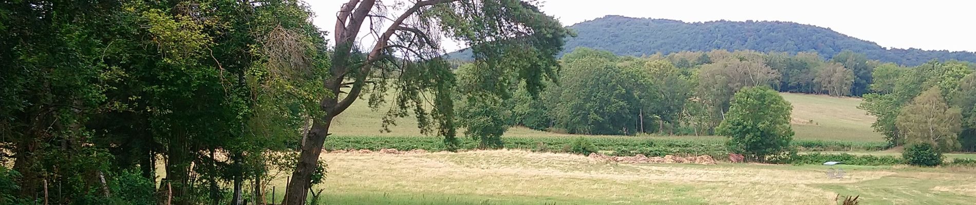 Tour Wandern Volvic - Chopine et Chaumont  - Photo