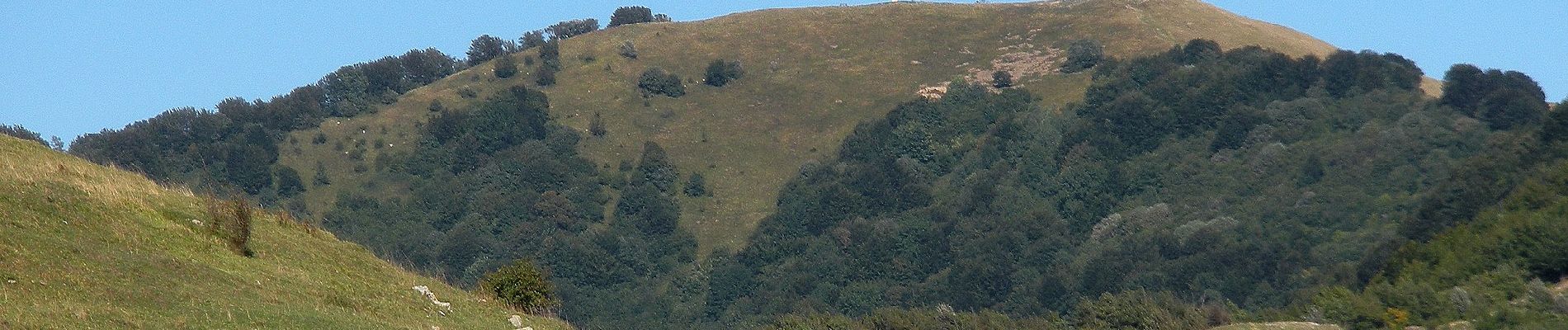 Percorso A piedi Vobbia - Vallenzona - Passo Sesenelle - Monte Buio - Monte Antola - Photo