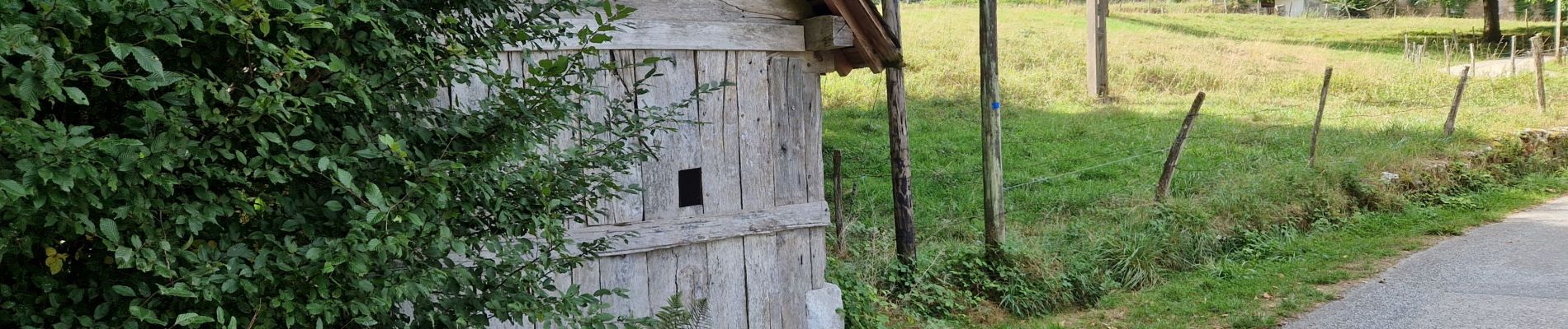 Tour Wandern Aiguebelette-le-Lac - Savoie_Aiguebelette=>Col-du-Crucifix=>Col-St-Michel - Photo