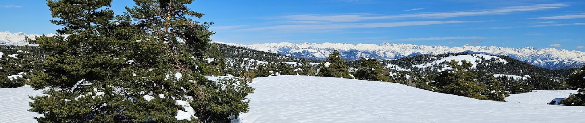 Tocht Langlaufen Gréolières - Greolière  les neiges Chalet du fondeur - Photo