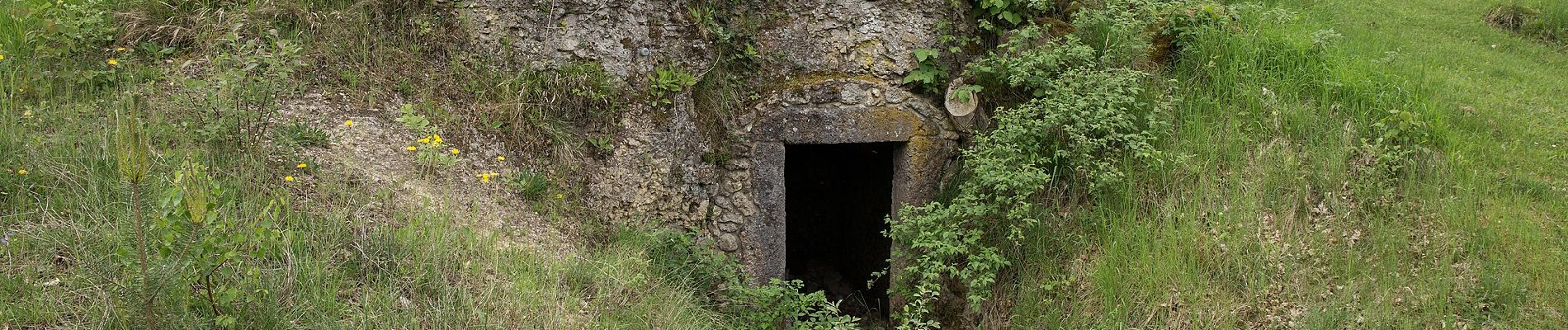 Tocht Te voet Auerbach in der Oberpfalz - Neuhaus-Rundwanderweg No.9 - Photo