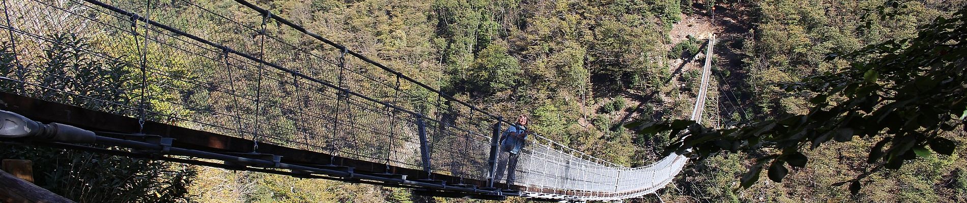 Tocht Te voet Bellinzona - San Bernardo-San Defendente - Photo