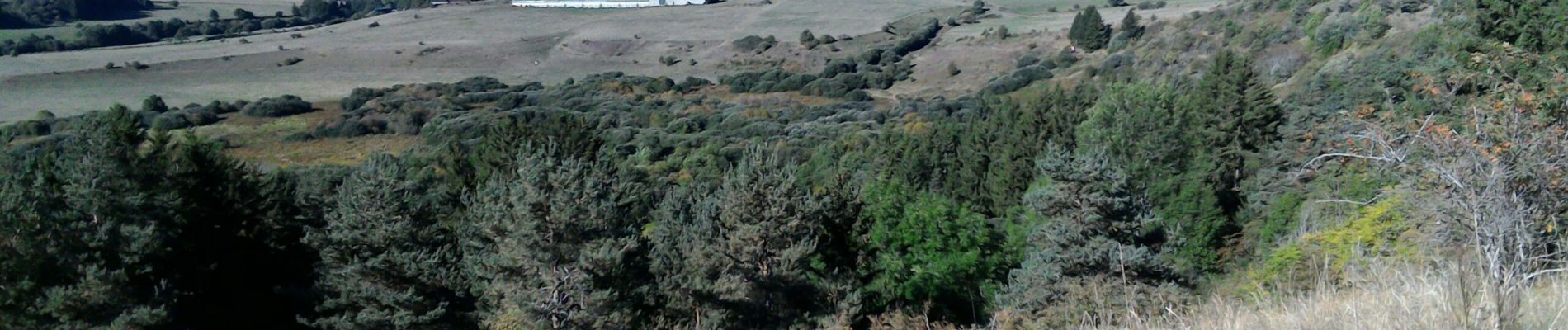 Tour Wandern Aydat - 2019-09-13 -Puy de Combegrasse - Narse d'Espinasse - Photo