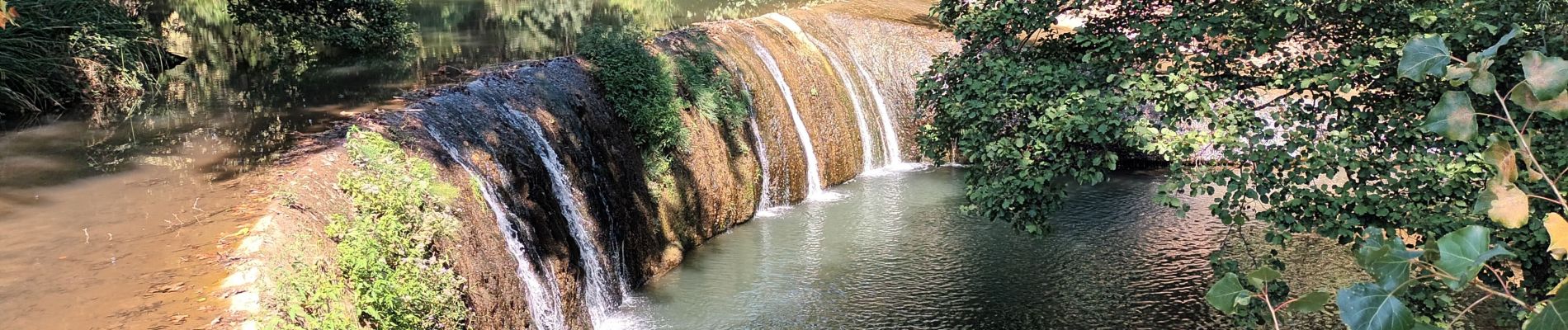 Tour Wandern Solliès-Ville - Domaine de la Castille- Solliès-Pont-08-09-23 - Photo