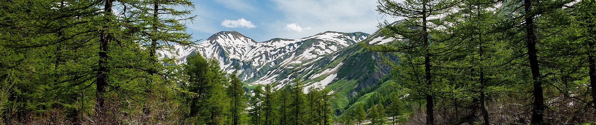 Randonnée A pied Courmayeur - Itinerario 23 Rifugio Dalmazzi - Photo