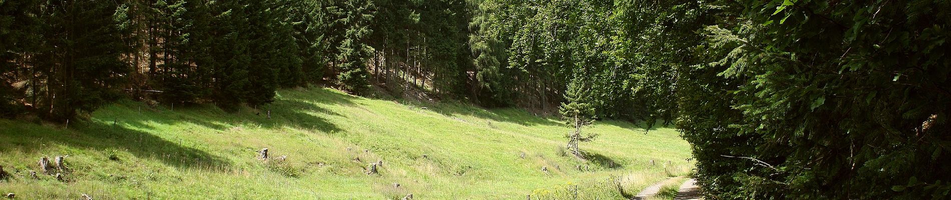 Randonnée A pied Friedrichroda - Rundweg Spießberghaus - Photo