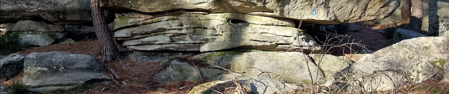 Point d'intérêt Fontainebleau - 3D Roche Celeste - Photo