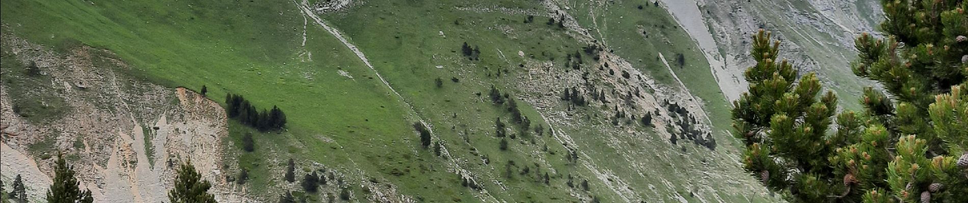 Randonnée Marche Saint-Julien-en-Beauchêne - grand et petit chamousset - Photo