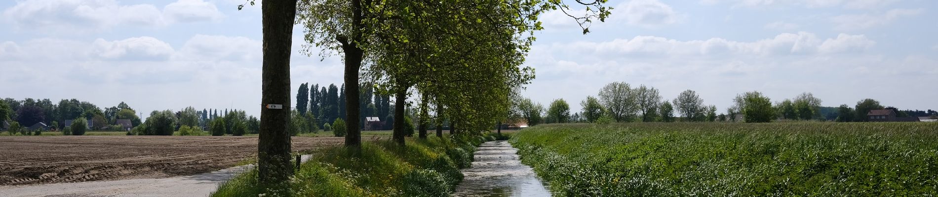 Trail Walking Lievegem - De Waarschoot à Gent st Pieters - Photo