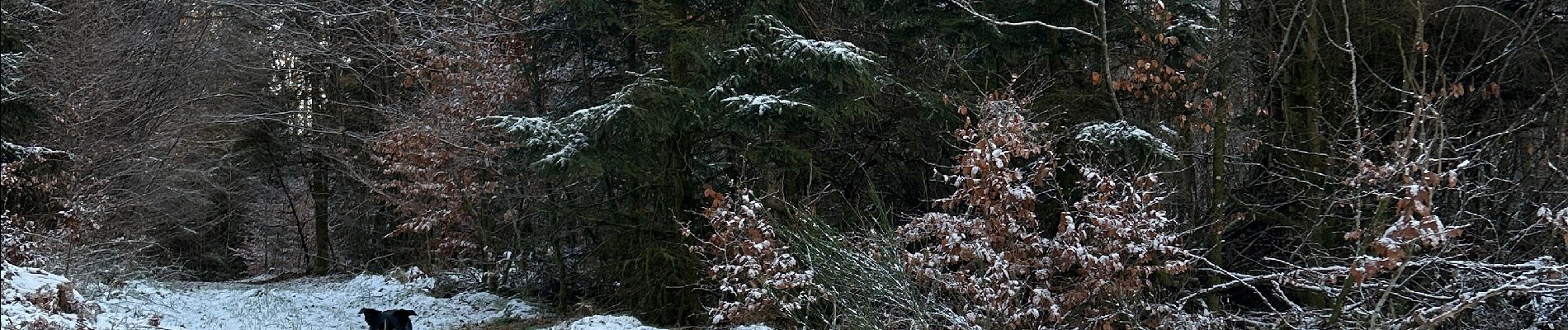 Excursión Senderismo Neufchâteau - Hosseuse 4,2 km  - Photo